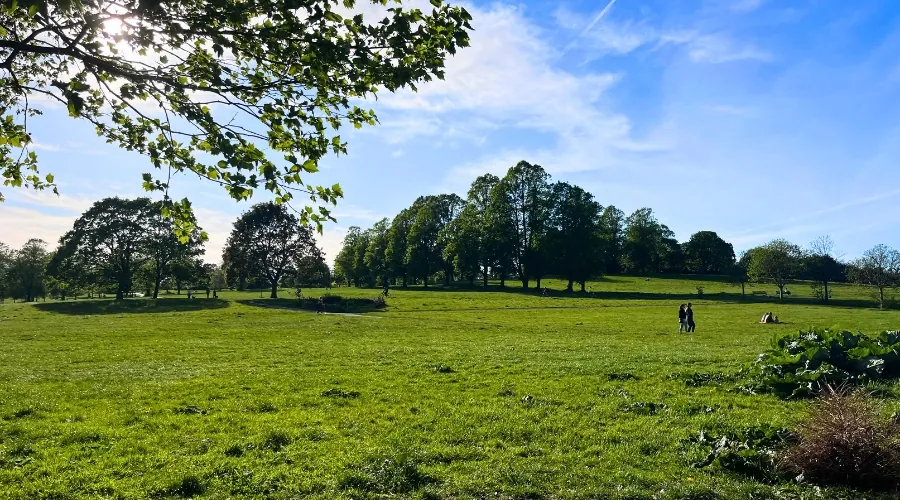 Views of Victoria Park's open green space