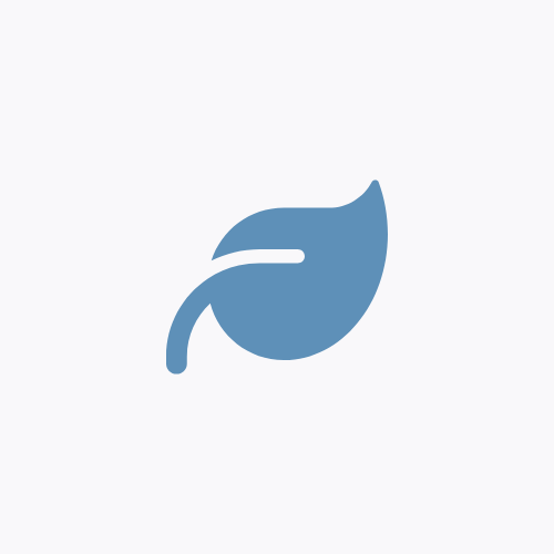 Leaf graphic