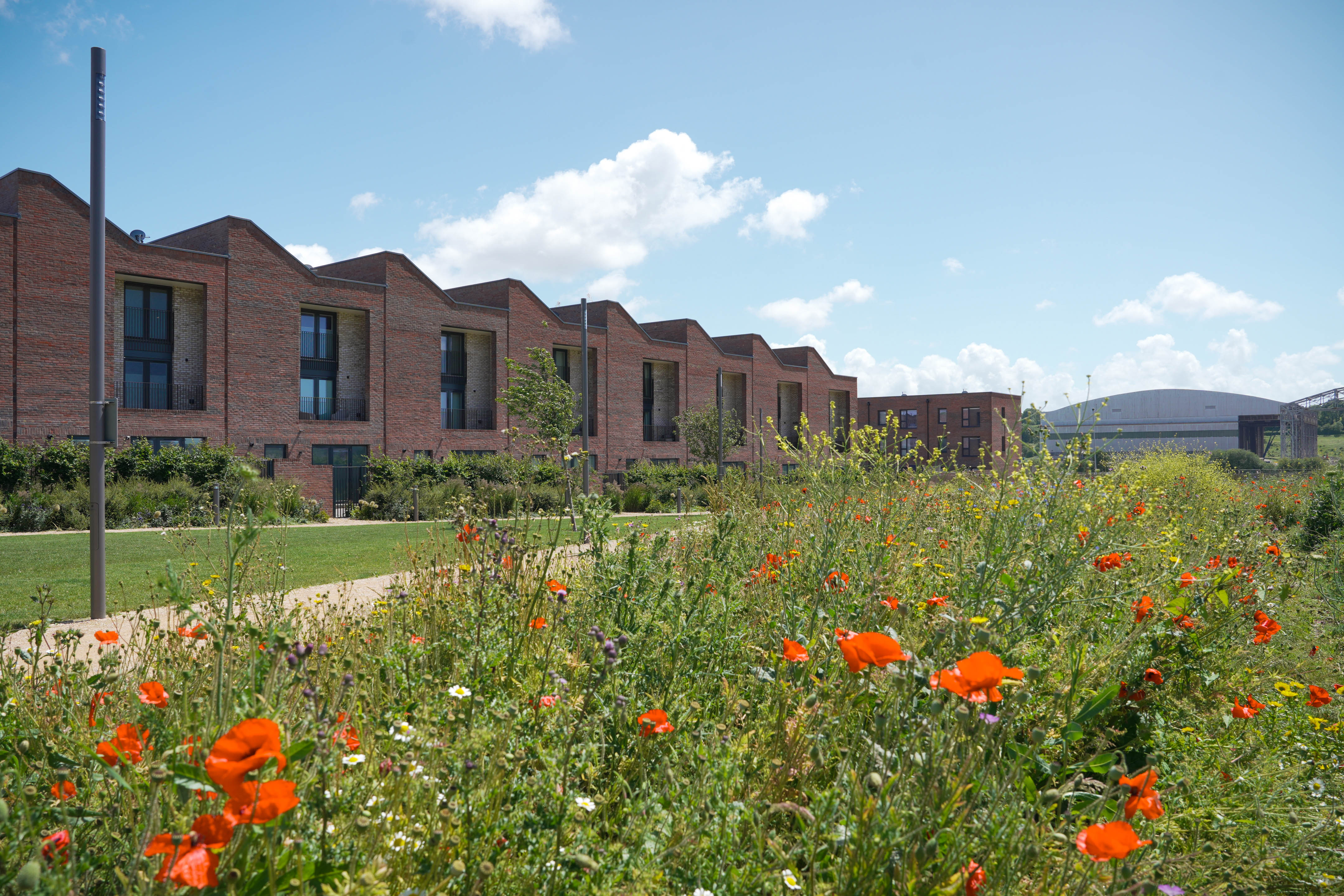 Wildflower meadow and landscaped green space in front of new homes at Brabazon, Bristol