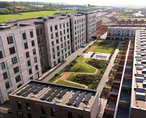 Drone shot of the communal gardens at The Dials.
