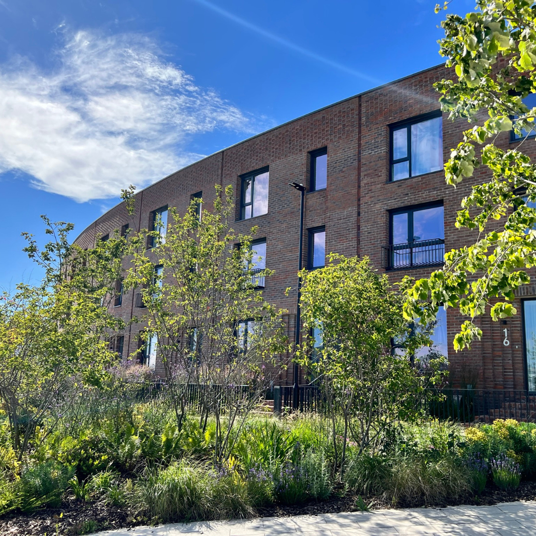 Row of three-storey townhouses with landscaped flower beds on a sunny day.