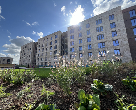 Sun poking out behind The Dials apartment building at Brabazon.